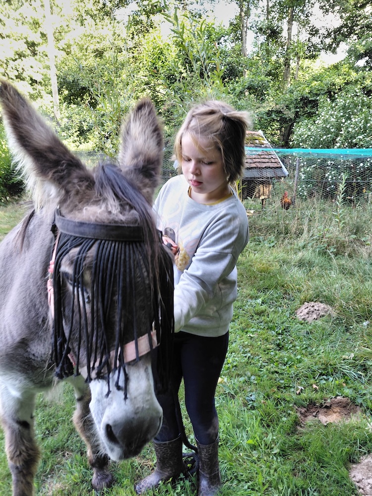 Spelen met de dieren