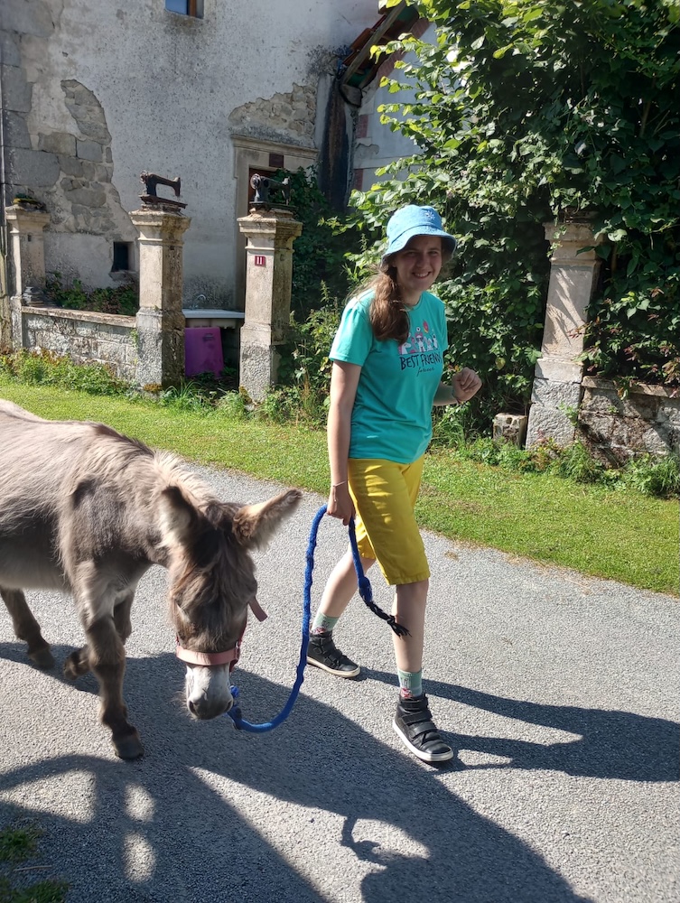 Wandelen met de ezel