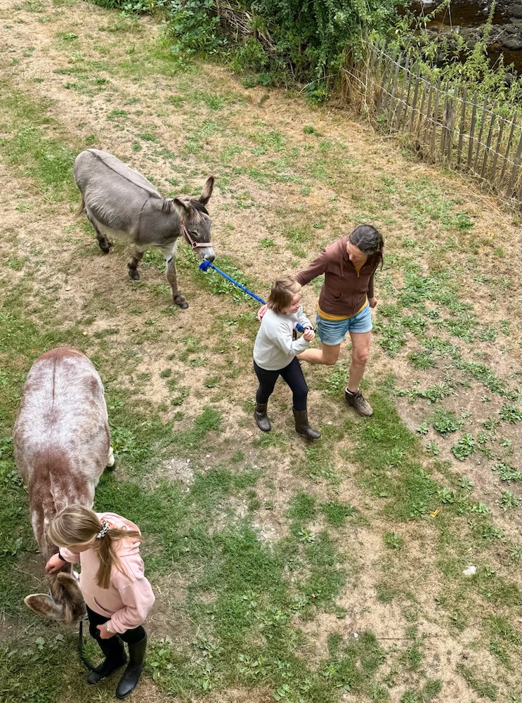 Wandelen met de ezels